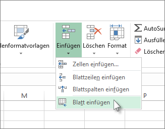 Leere Seite in der Arbeitsmappe erstellen
Seite mit gewünschten Namen benennen