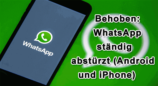 Reparaturtool: Eine praktische Lösung, um WhatsApp-Abstürze mit nur einem Klick zu beheben
Einfache Anwendung ohne technische Kenntnisse erforderlich