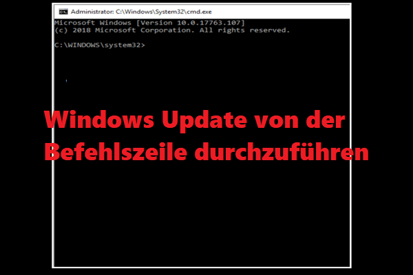 Wählen Sie "Nach Updates suchen" aus.
Installieren Sie alle verfügbaren Updates für Ihr Betriebssystem.